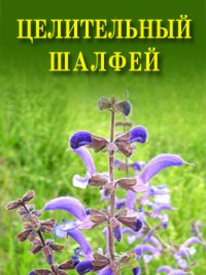 cover image of Целительный шалфей
